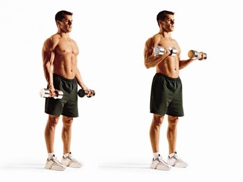 biceps-curls voor gewichtsverlies